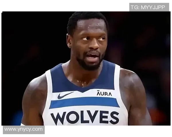 朱利叶斯兰德尔的篮球之路与未来发展展望分析